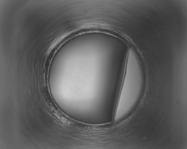 X0000085780877200703160956