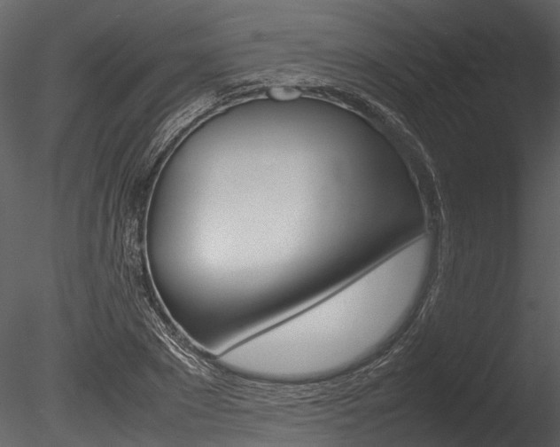 X0000085780881200703160956