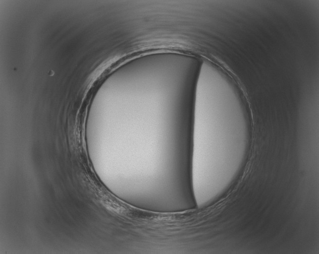 X0000085780883200703160956