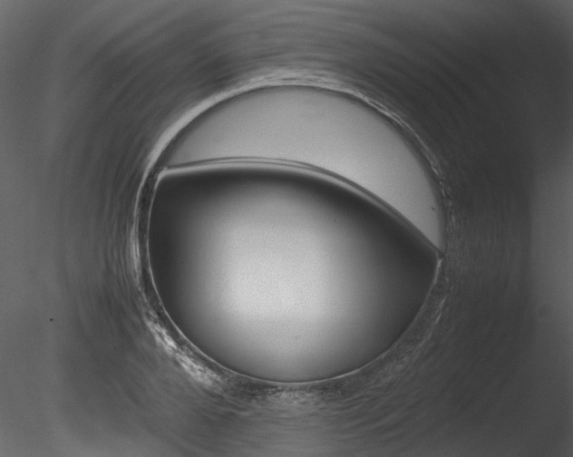 X0000085780888200703160956