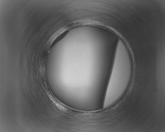X0000085780897200703160956