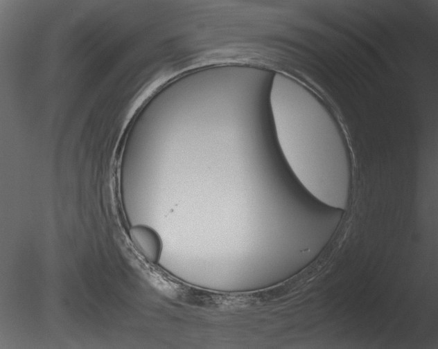 X0000085780899200703160956