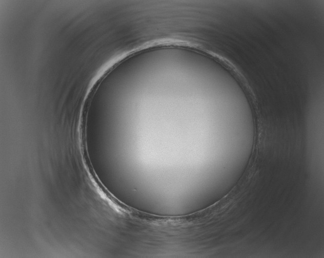 X0000085780902200703160956