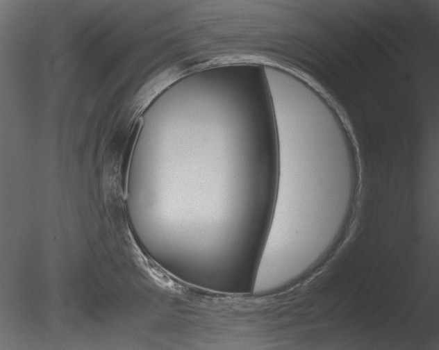 X0000085780905200703160956