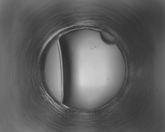 X0000085780923200703160955