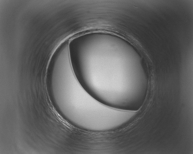 X0000085780924200703160955