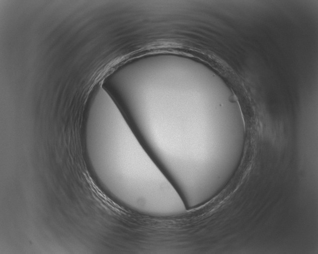X0000085780929200703160955