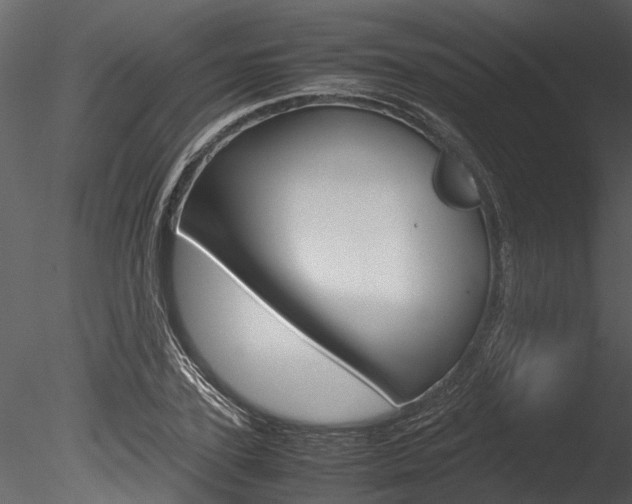 X0000085780931200703160955