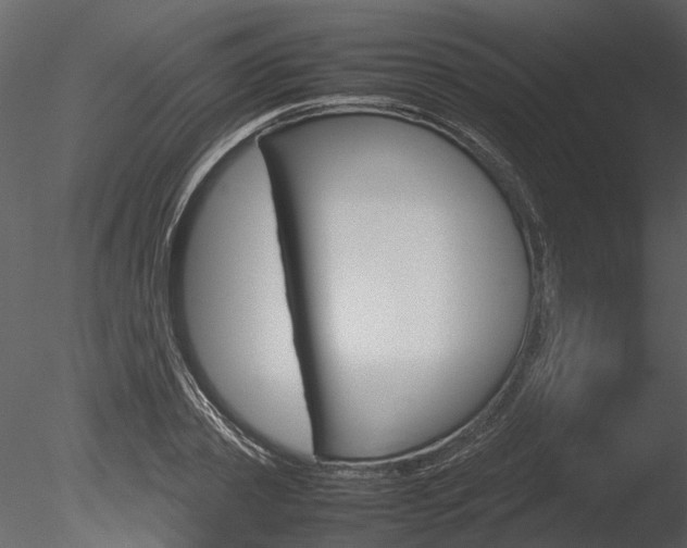 X0000085780933200703160955
