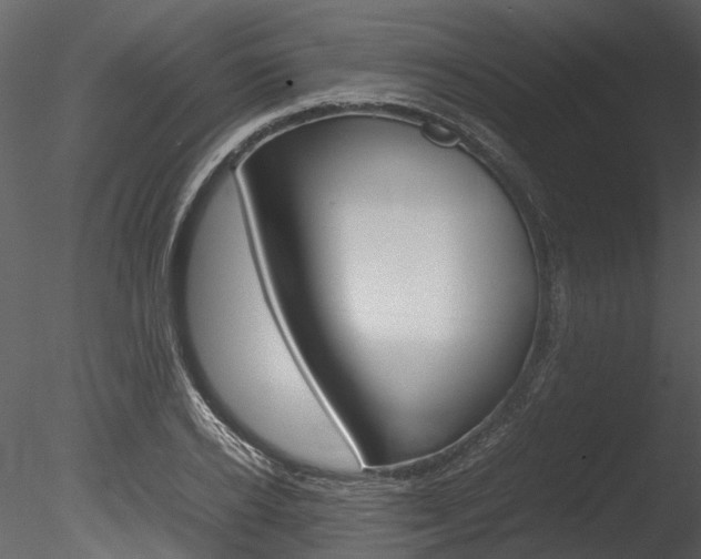X0000085780934200703160955