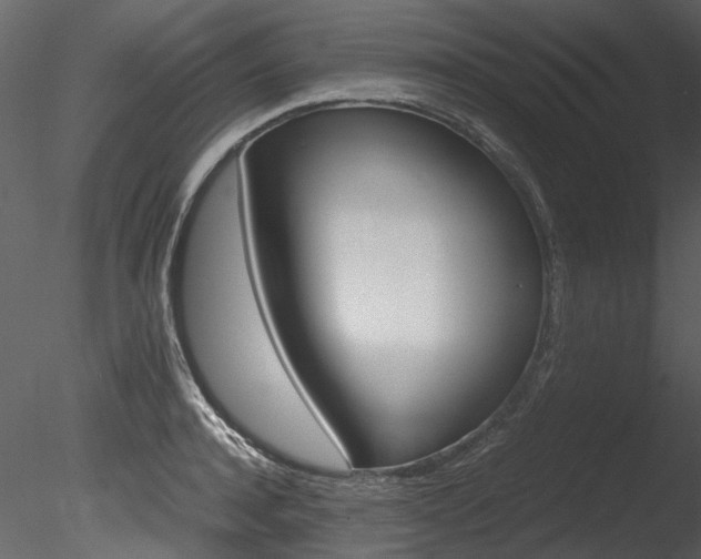 X0000085780944200703160955