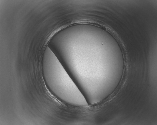 X0000085780945200703160955