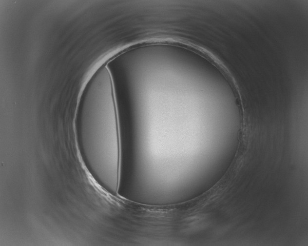 X0000085780951200703160956