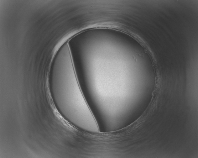 X0000085780952200703160956