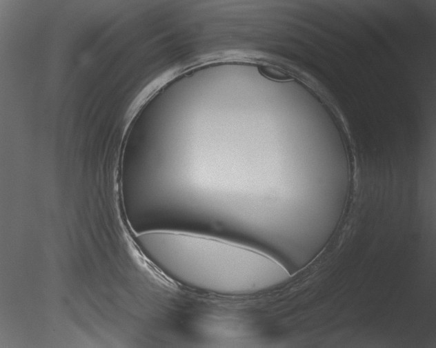 X0000085780954200703160956