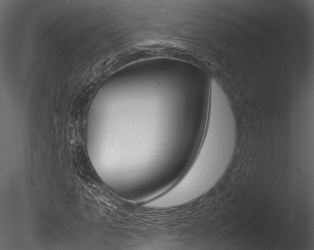 X0000085780965200703160955