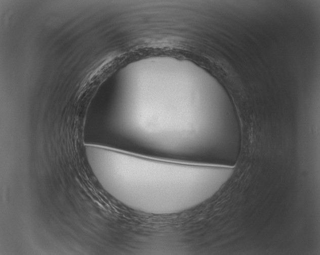 X0000085780968200703160955