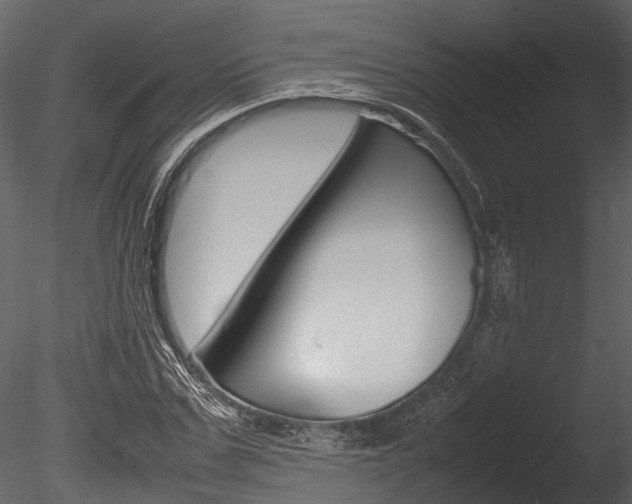 X0000085780971200703160955