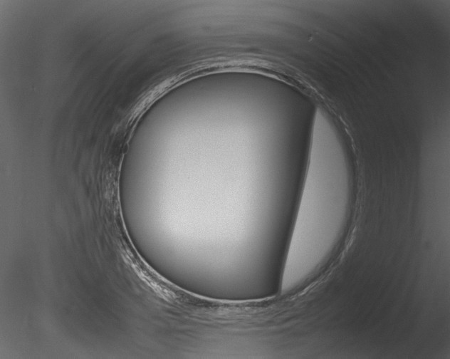 X0000085780985200703160955