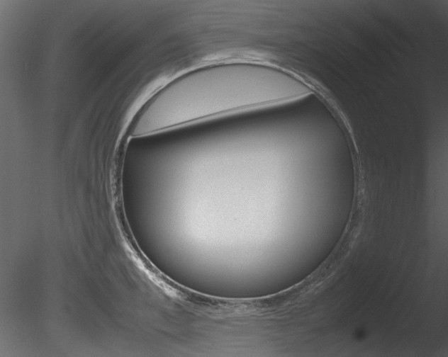 X0000085780997200703160954
