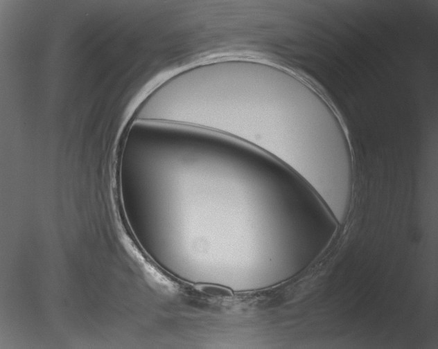 X0000085781005200703160954