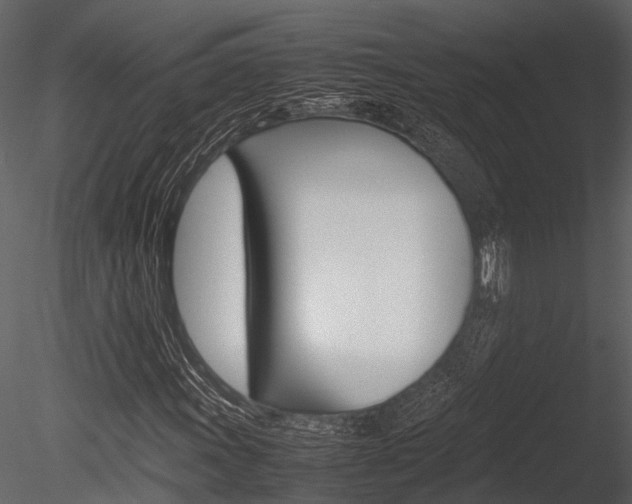 X0000085781011200703160953