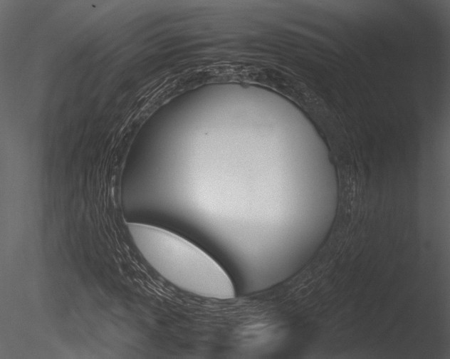 X0000085781013200703160953