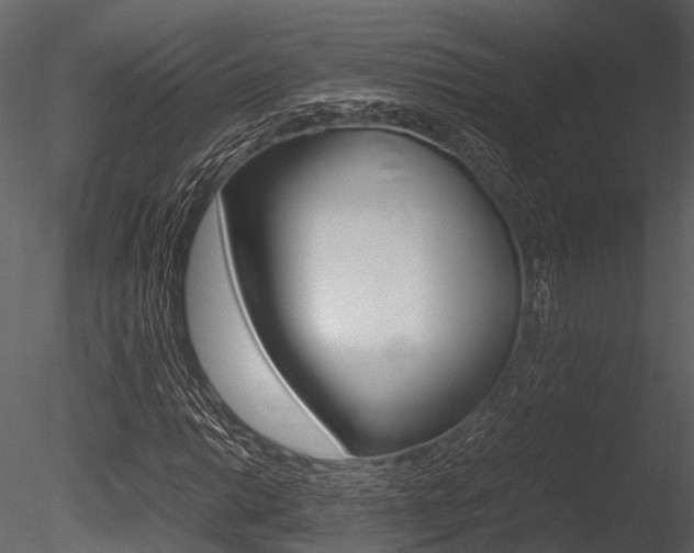 X0000085781014200703160953