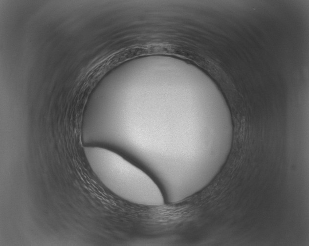 X0000085781015200703160953