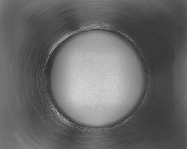 X0000085781018200703160953