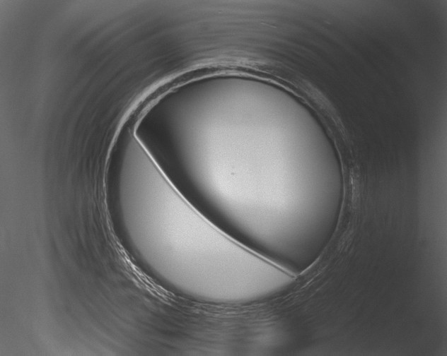 X0000085781020200703160953