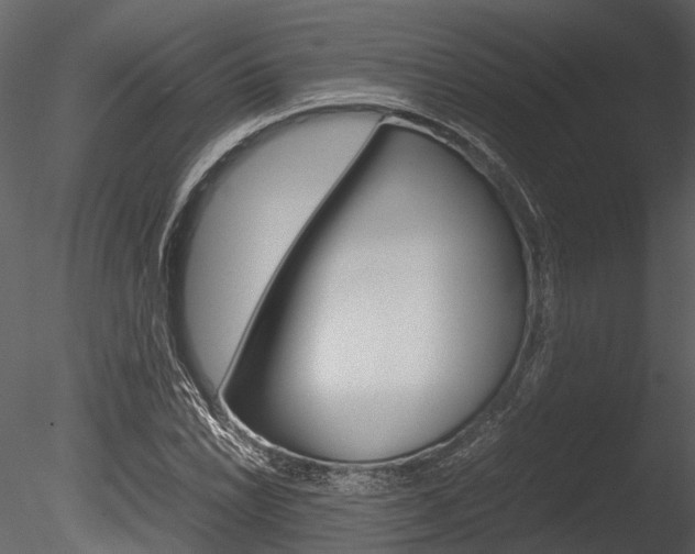 X0000085781022200703160953