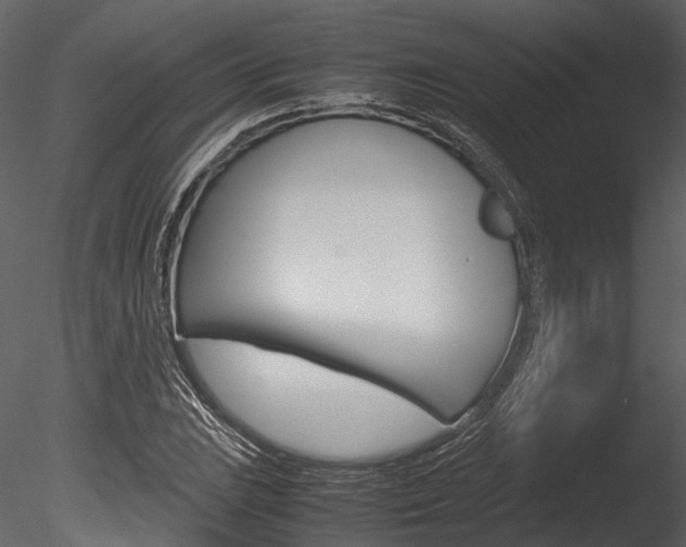 X0000085781023200703160954