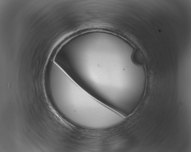 X0000085781024200703160954