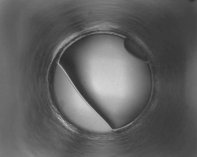 X0000085781026200703160954
