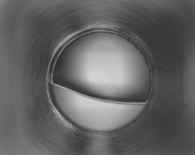 X0000085781028200703160954