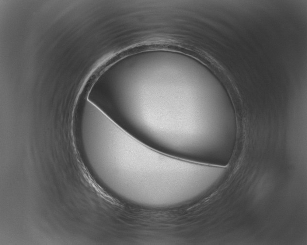 X0000085781029200703160954