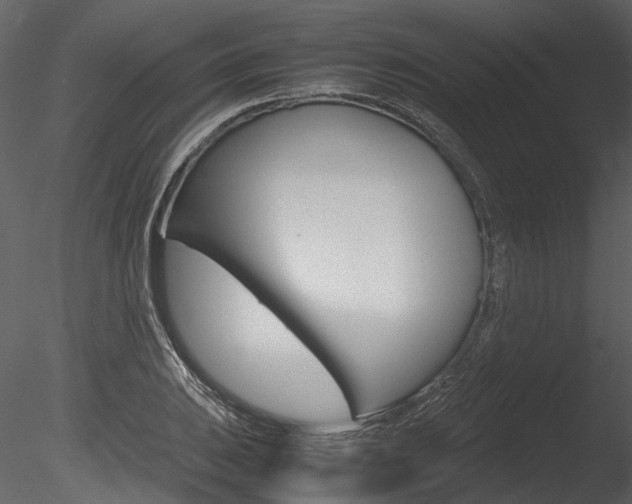 X0000085781031200703160954