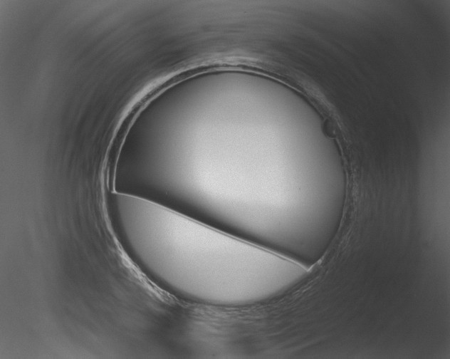 X0000085781032200703160954