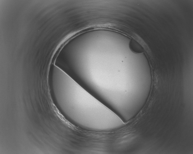 X0000085781036200703160954