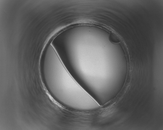 X0000085781037200703160954