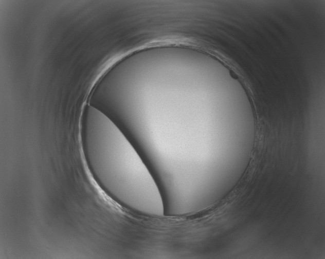 X0000085781055200703160954