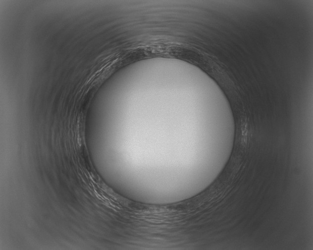 X0000085781060200703160953