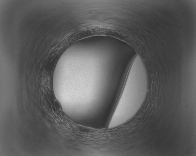 X0000085781061200703160953
