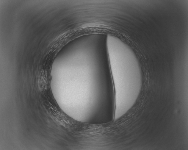X0000085781062200703160953