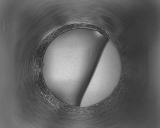 X0000085781064200703160953