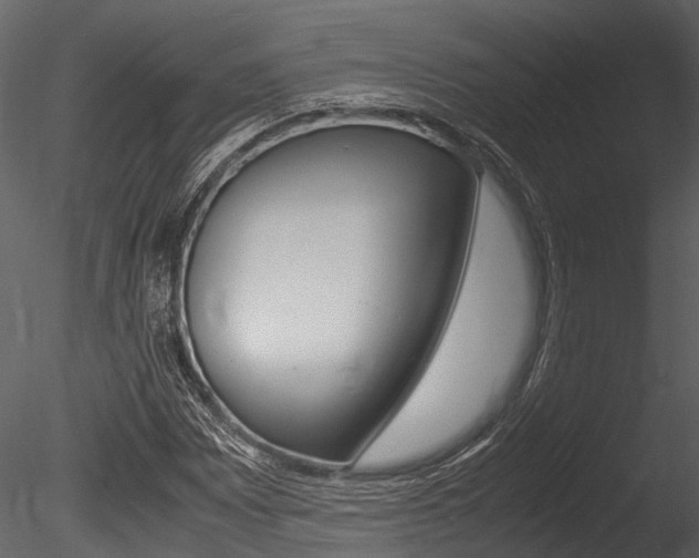 X0000085781065200703160953