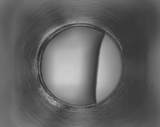 X0000085781072200703160953