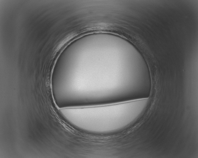 X0000085781073200703160953