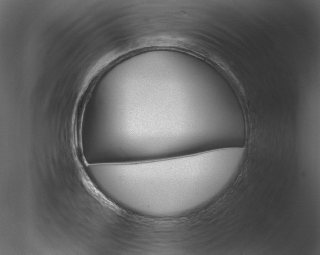 X0000085781080200703160953